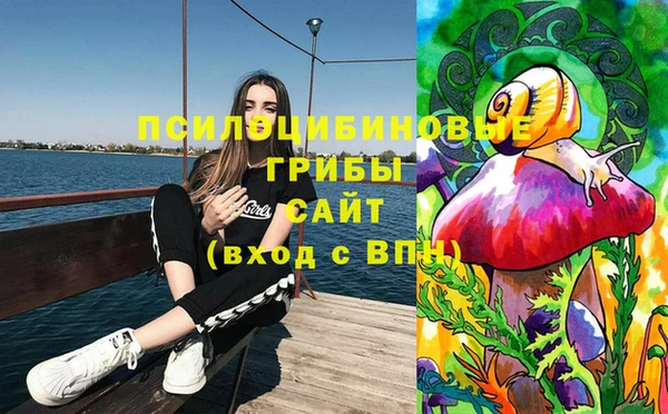 бошки Алексеевка