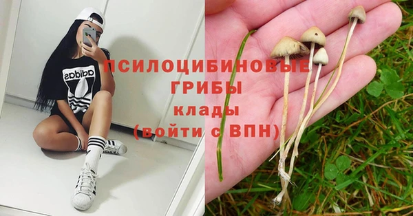 твердый Алексин