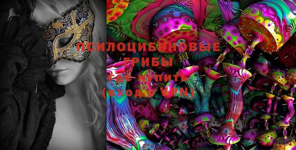 твердый Алексин