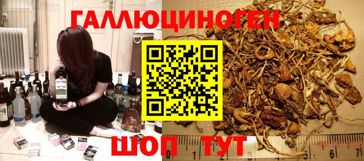 Псилоцибиновые грибы Psilocybe Заринск