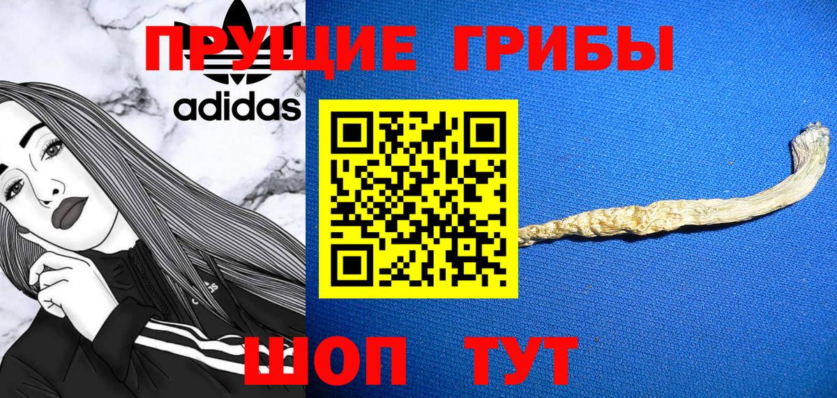 Заринск  Галлюциногенные грибы Psilocybine cubensis  наркотики  Вход с VPN 